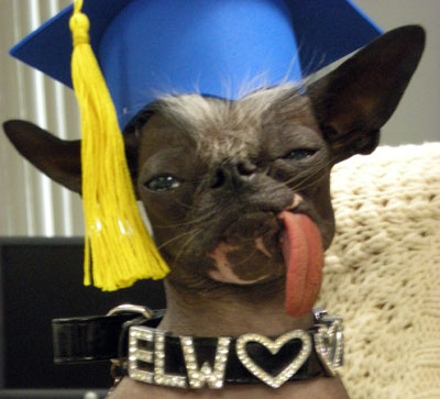 Elwood